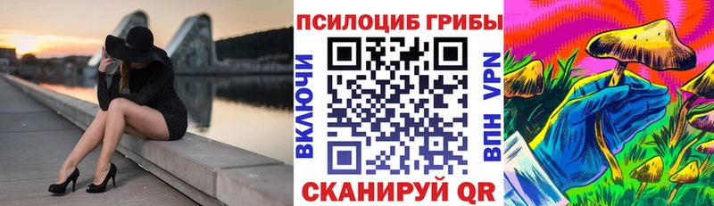 купить Карпинск Галлюциногенные грибы Psilocybine cubensis