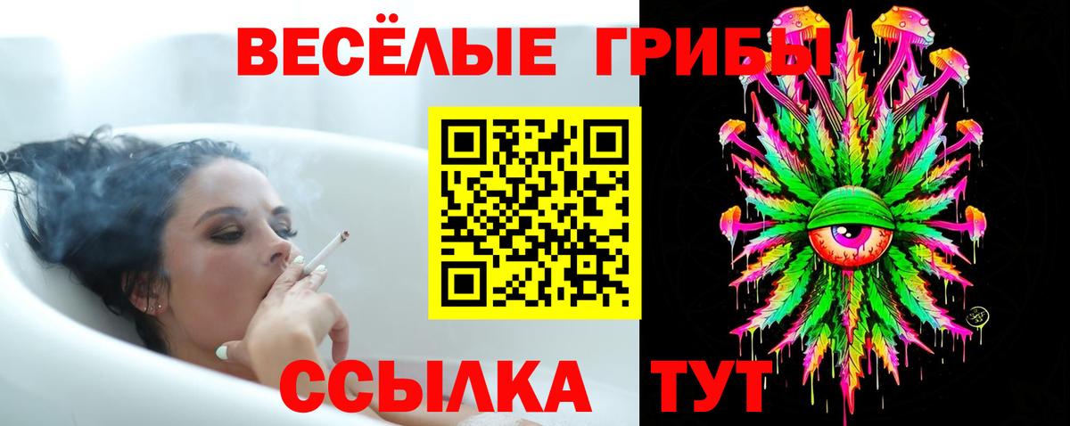 Галлюциногенные грибы MAGIC MUSHROOMS Карпинск
