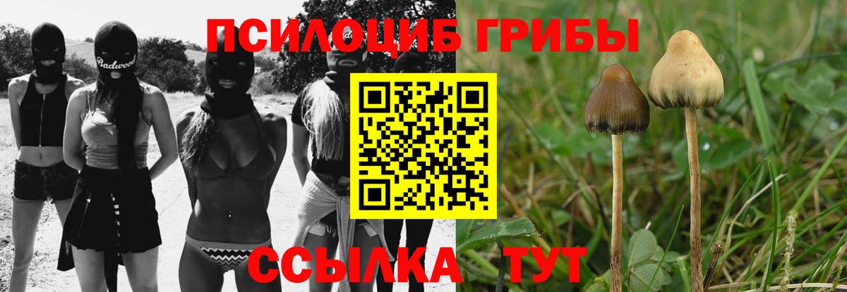 Псилоцибиновые грибы Psilocybe  Галлюциногенные грибы Magic Shrooms  Карпинск  Вход с VPN 